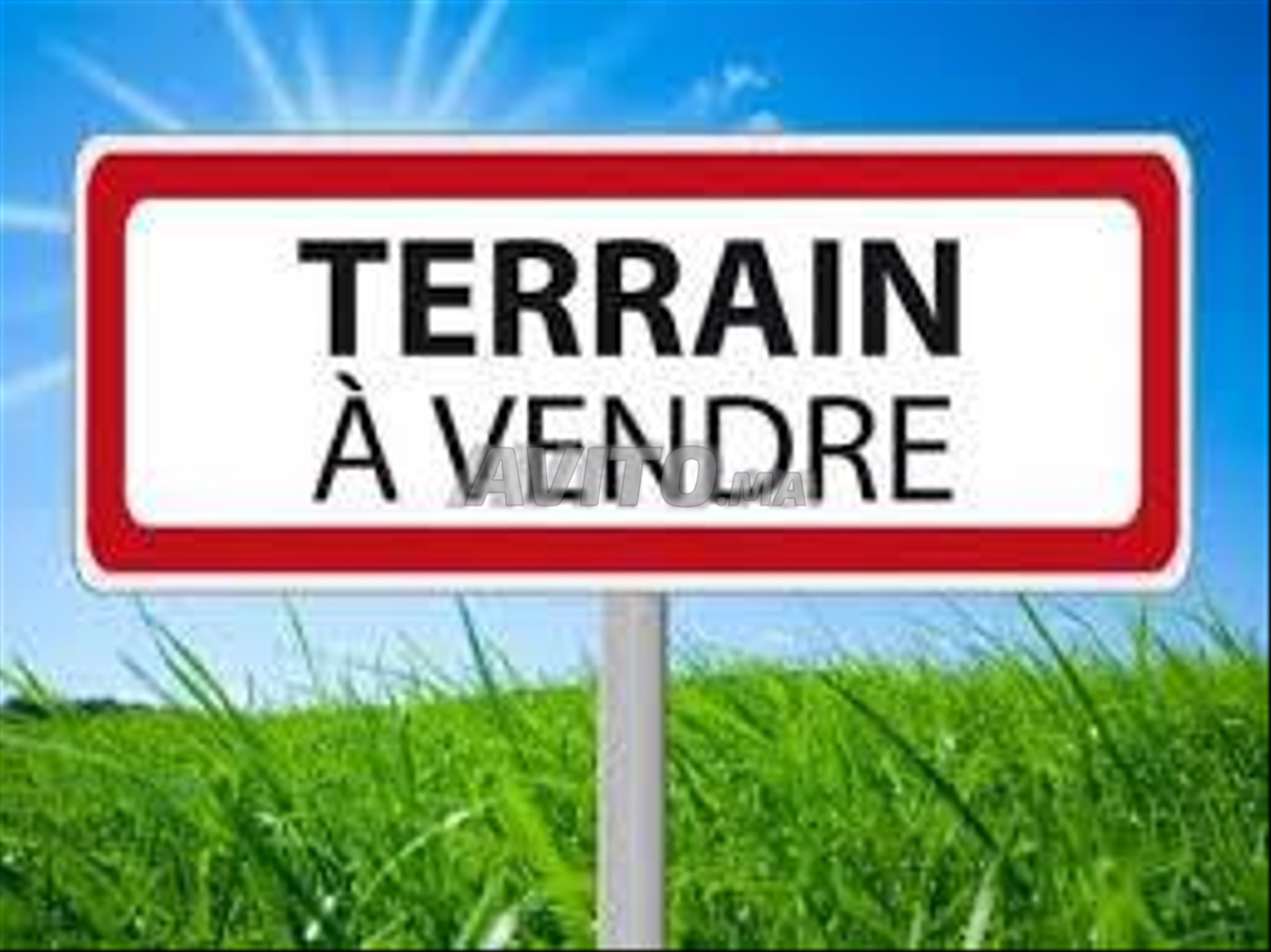 Terrain Terrain nu