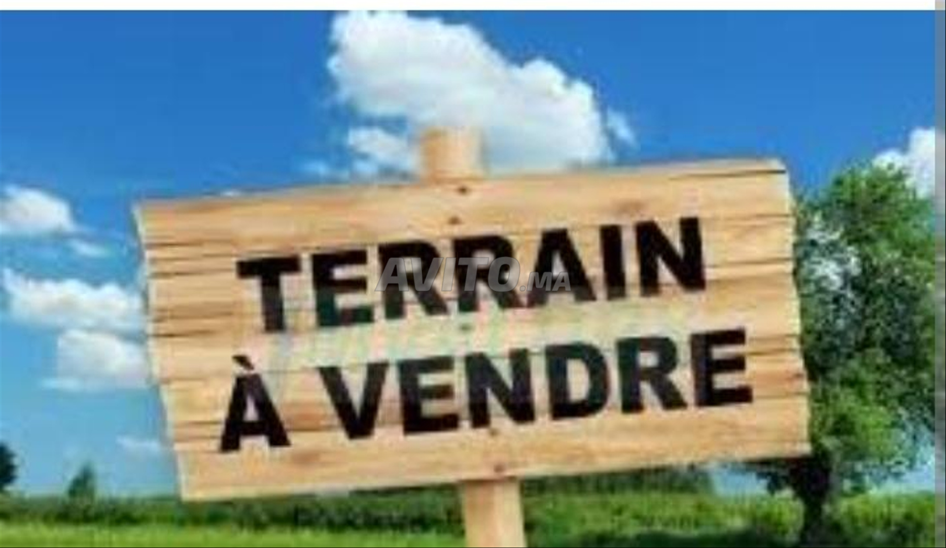 Terrain Terrain nu