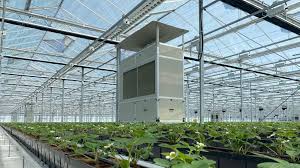 Casablanca&nbsp;Roches noires&nbsp;Autre&nbsp;Autre&nbsp;Bureau detude hydroponique roline casablanca